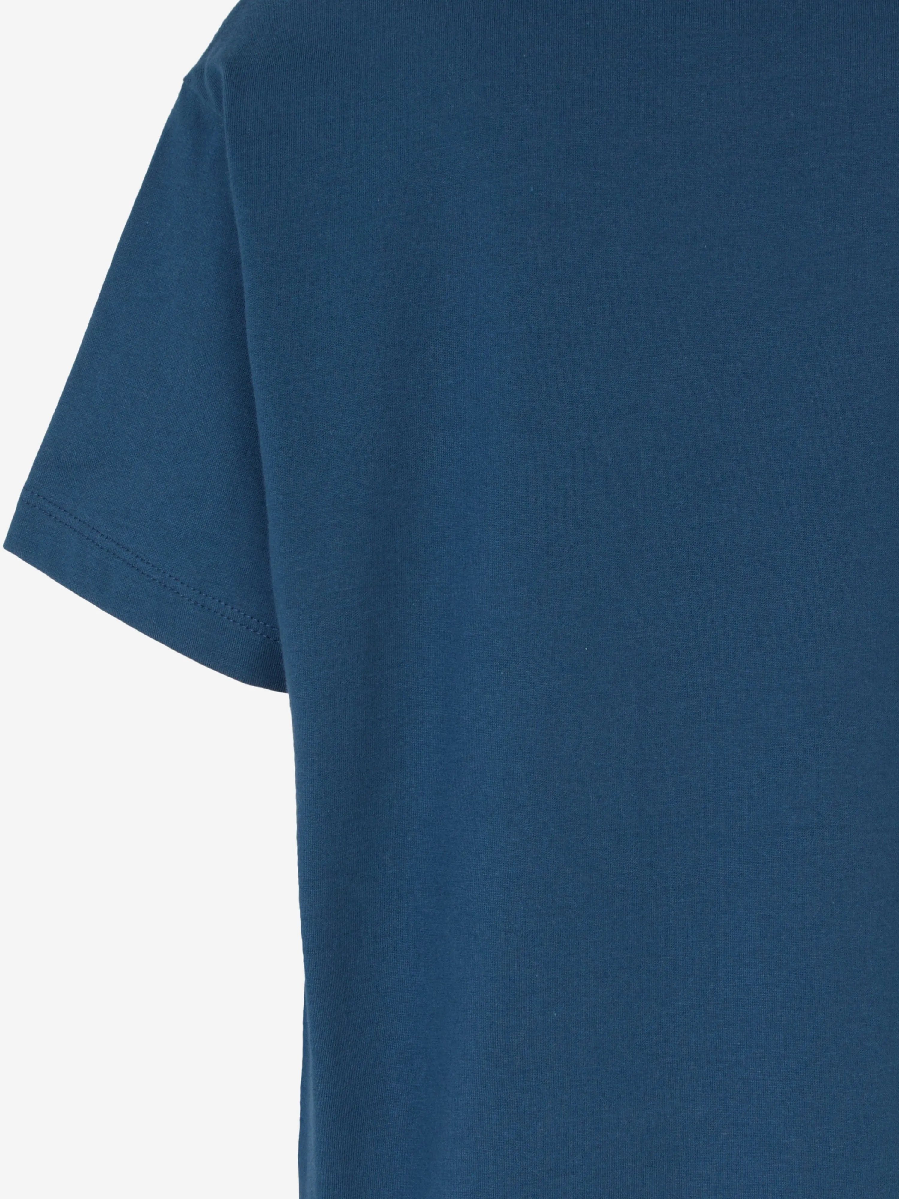 Emporio Armani Boys Logo T-Shirt in Blue